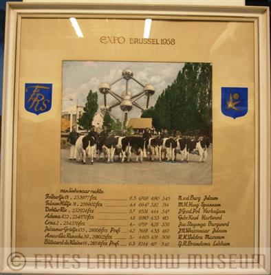 03-031.jpg; FLM-03-031; Ingelijste foto van expo brussel 1958; foto
