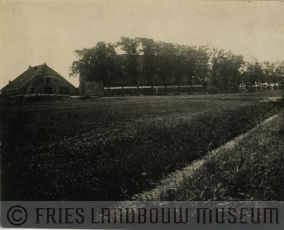 09-00056.jpg; FLM-09-00056; Foto in zwart-wit van een kop-hals-rompboerderij met schuur te Franeker; foto