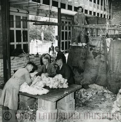 09-00531.jpg; FLM-09-00531; Foto in zwart-wit van het controleren van de schapenvachten in de opslag van de Nederlandse Wolfederatie door S. Andringa, 1960; foto