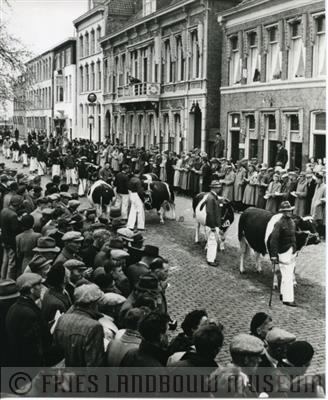 09-02058.jpg; FLM-09-02058; Foto in zwart-wit van een keuring van stieren door S. Andringa.; foto