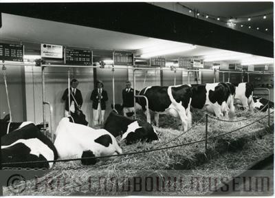 09-02555.jpg; FLM-09-02555; Foto in zwart-wit van een ZPC-tentoonstelling door S. Andringa, 1976; foto