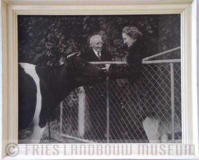 97-032.jpg; FLM-97-032; Foto in lijst van H.M. Juliana op proefboerderij Wielzicht bij het eeuwfeest van Friesche Maatschappij van Landbouw in 1952; foto
